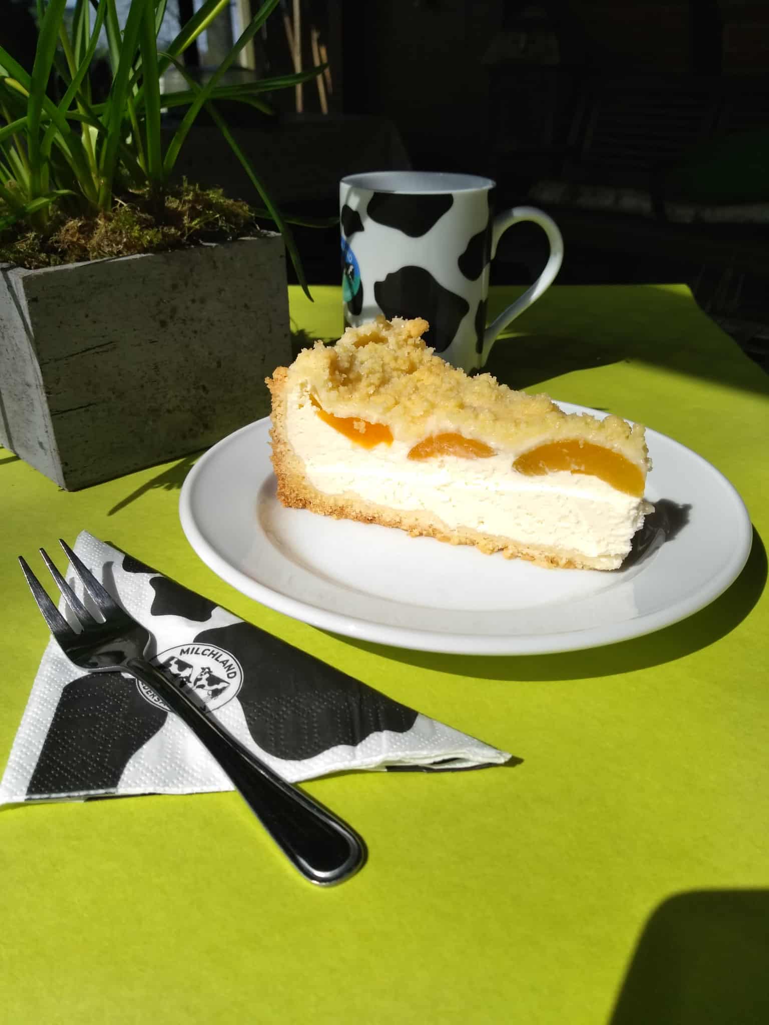 Kaffee und selbst gebackenen Kuchen genießen im Melkhus Heber!