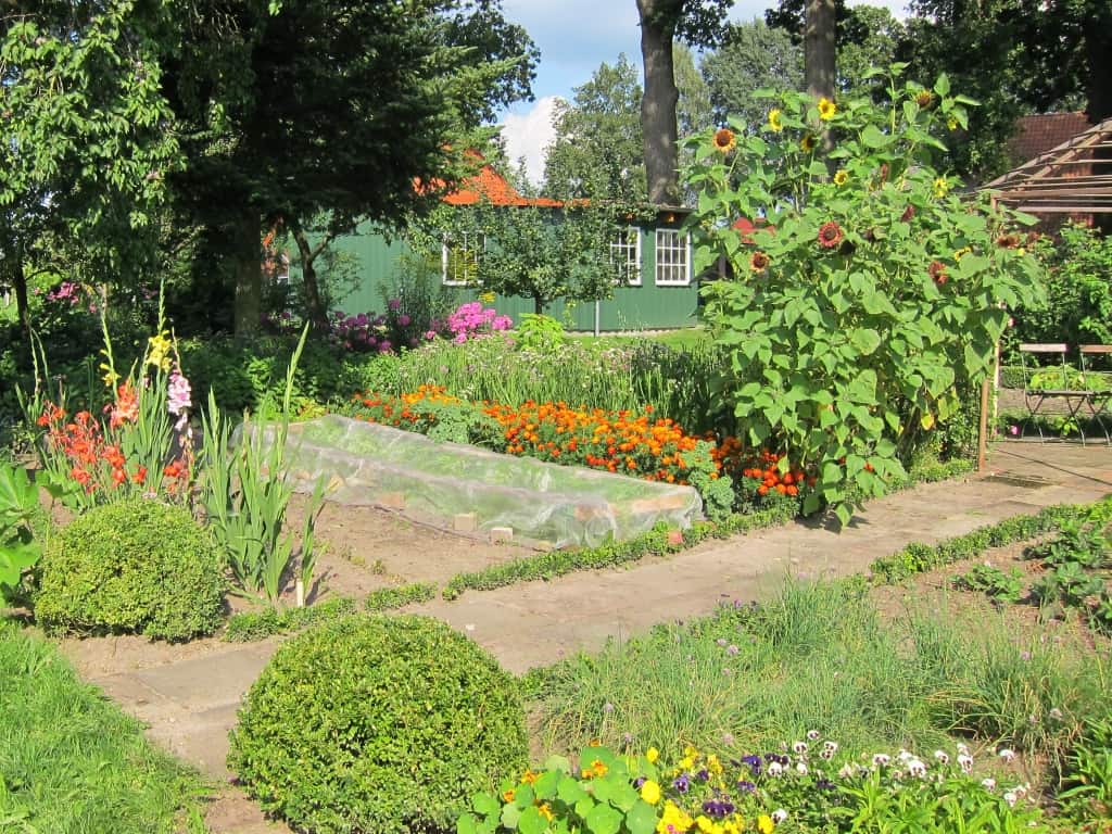 Bauerngarten am Melkhus in Schneverdingen-HeberGroßer Bauerngarten mit Gemüsebeeten und Staudenrabatten