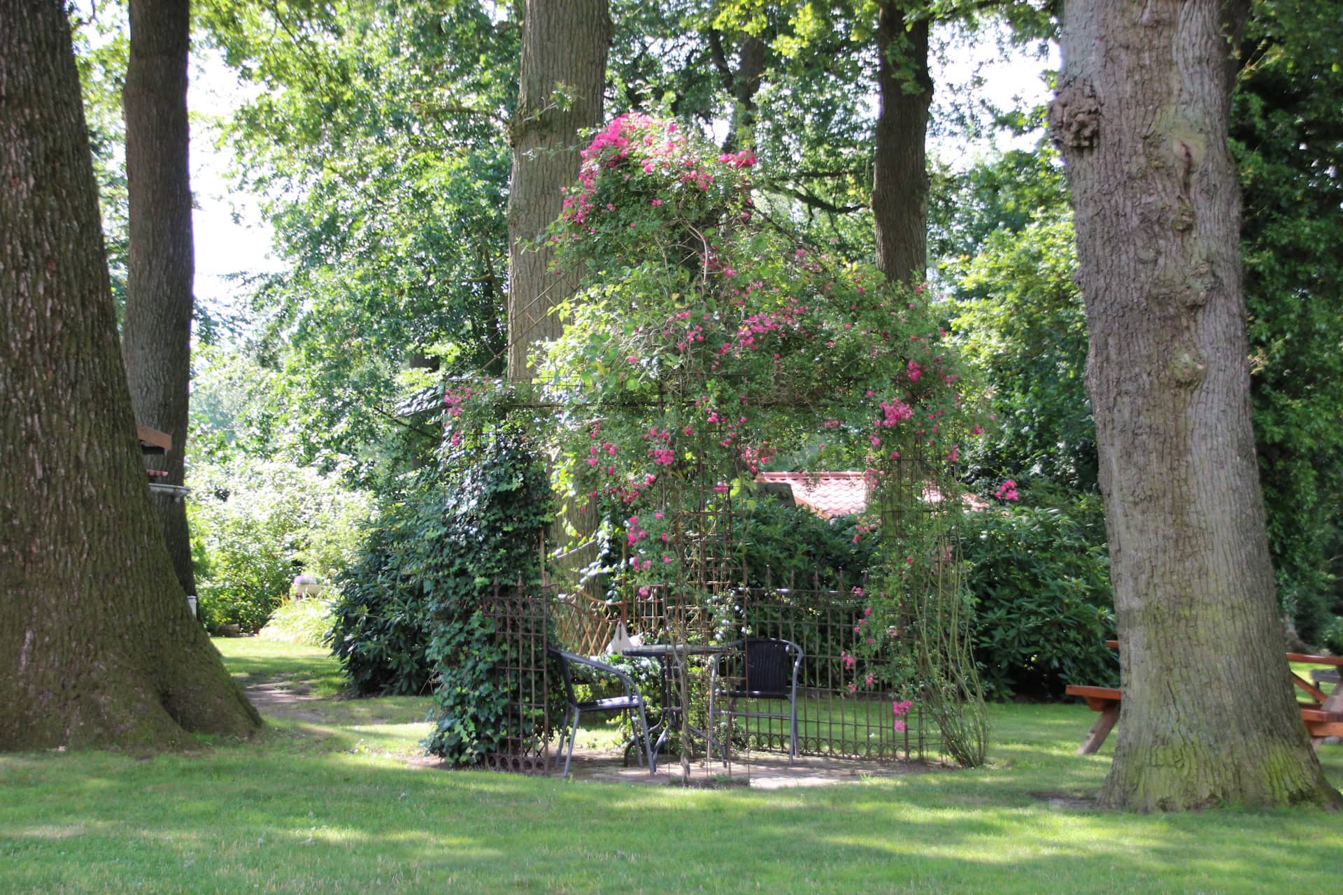 Kaffeepause in der Rosenlaube unter alten Eichen