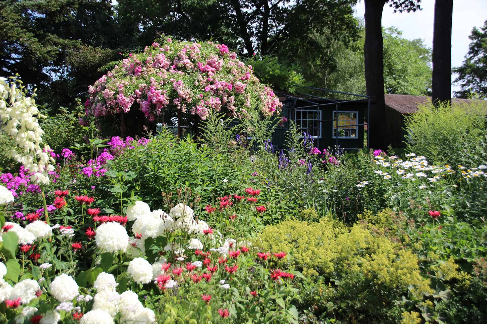 Sommerliche Blütenpracht im Garten des Melkhus in Schneverdingen-Heber